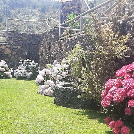 إيكود ذي لوس فينوس Casas Rurales Los Guinderos المظهر الخارجي الصورة